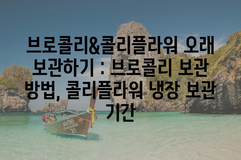 샘플 (80)