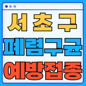 서울 서초구 폐렴구균 백신 무료 예방접종 비용지원 가격 신청방법 대상자 간격 13가 15가 20가 23가