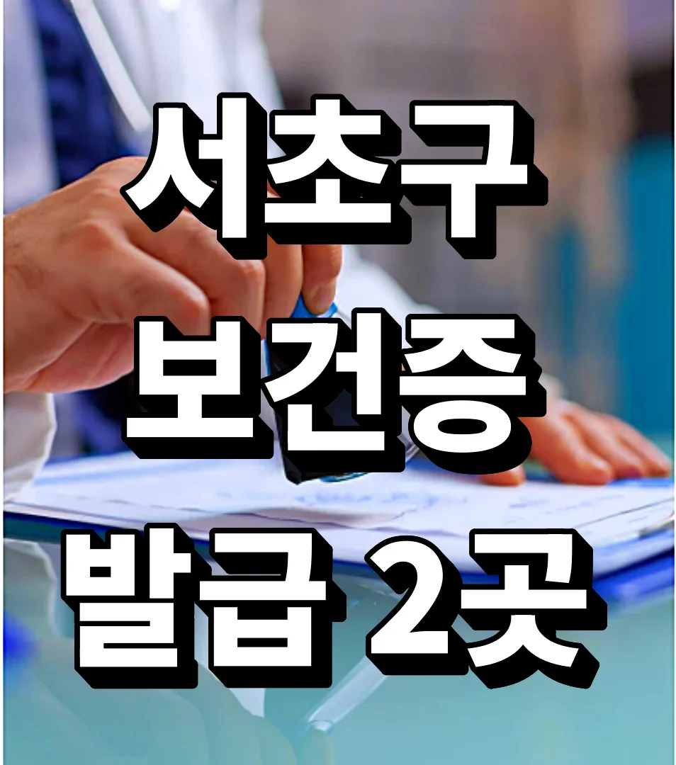 서초구 보건증 발급 2곳, 업종별로 가는 곳이 다른 이유