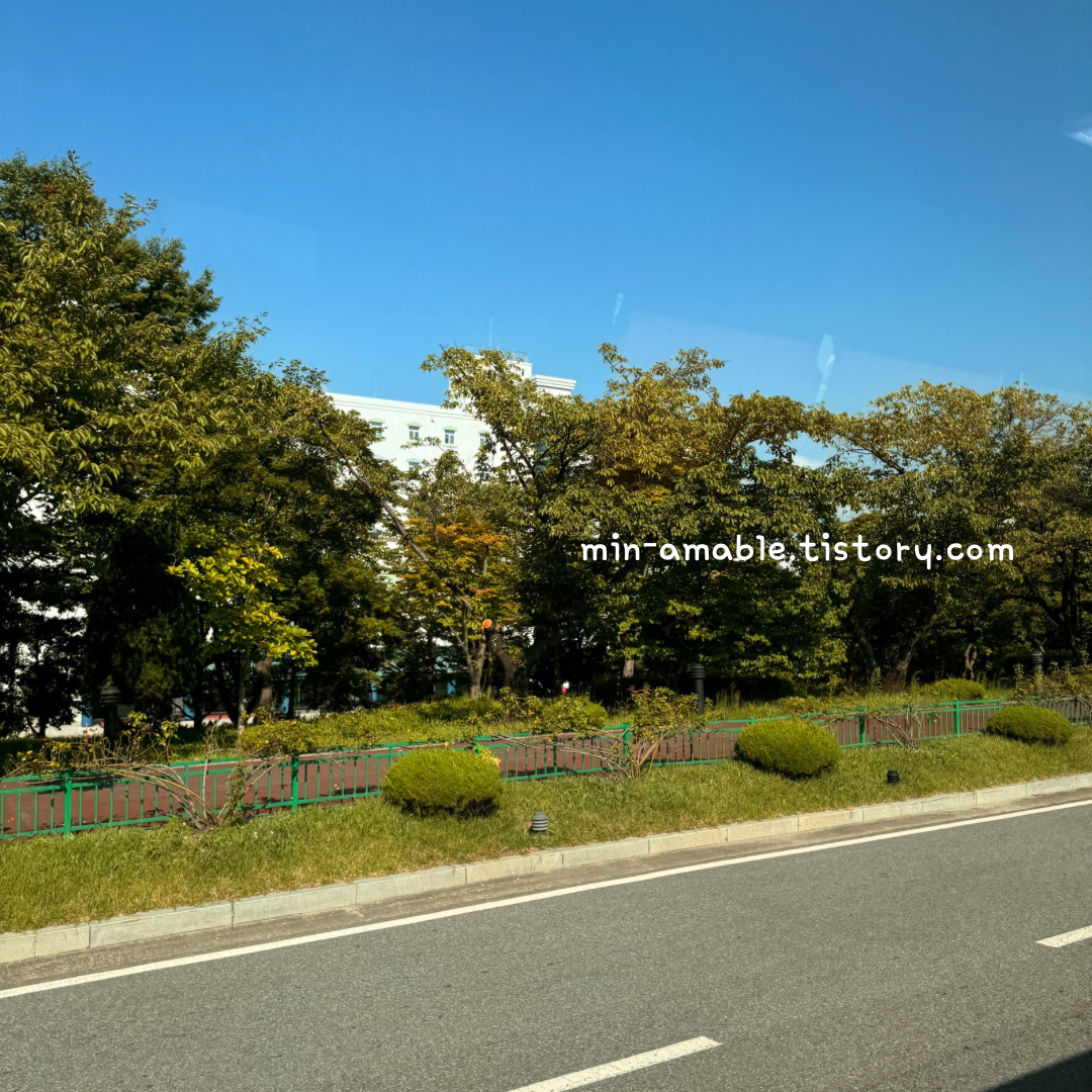 세종학당_국외실습_야외교육