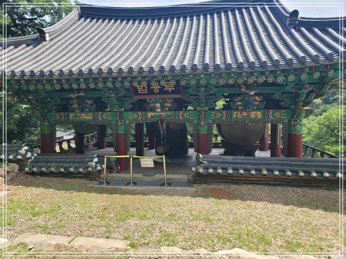 용문사-20250808_140254