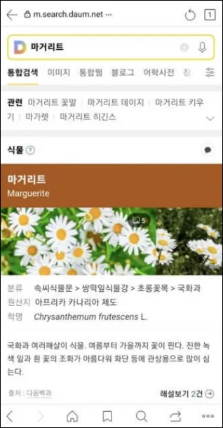 다음-꽃검색-결과-상세