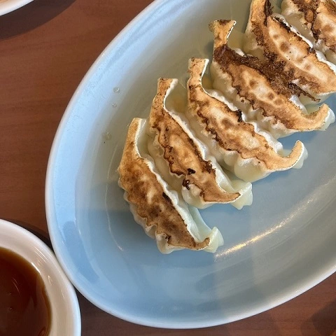 시카이로 별미 만두