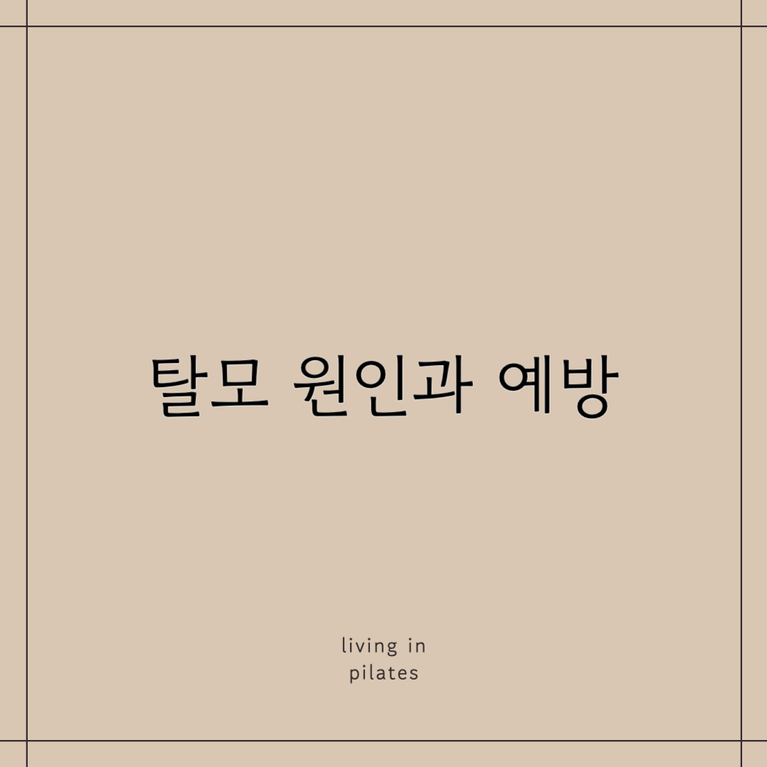 탈모원인과 예방