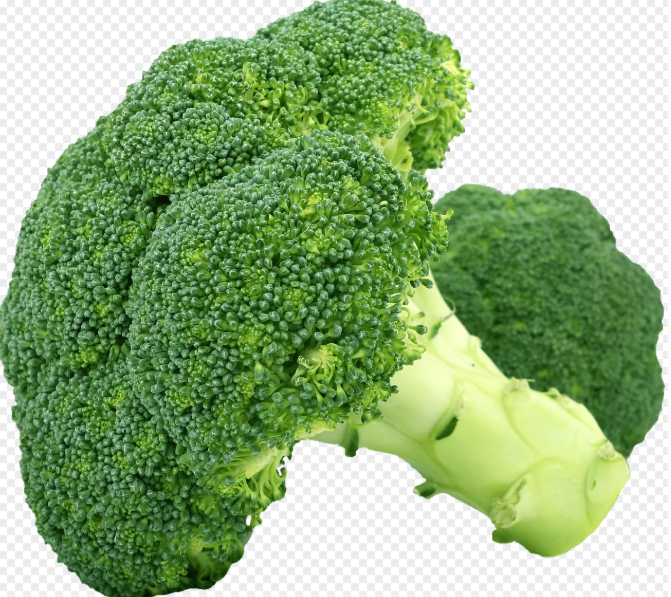브로콜리 사진