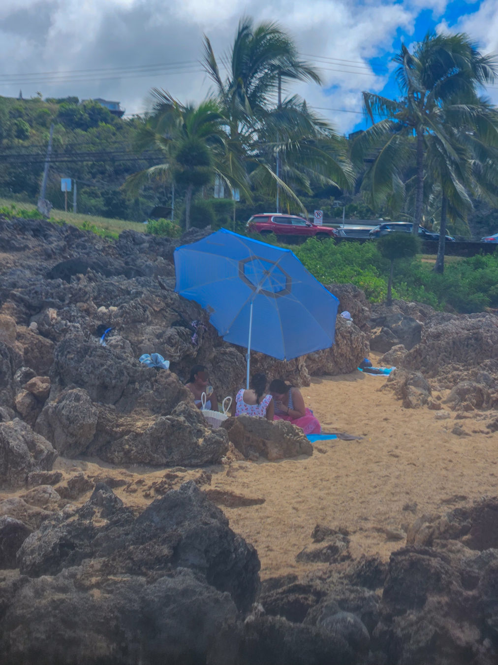 하와이 샥스코브 스노쿨링