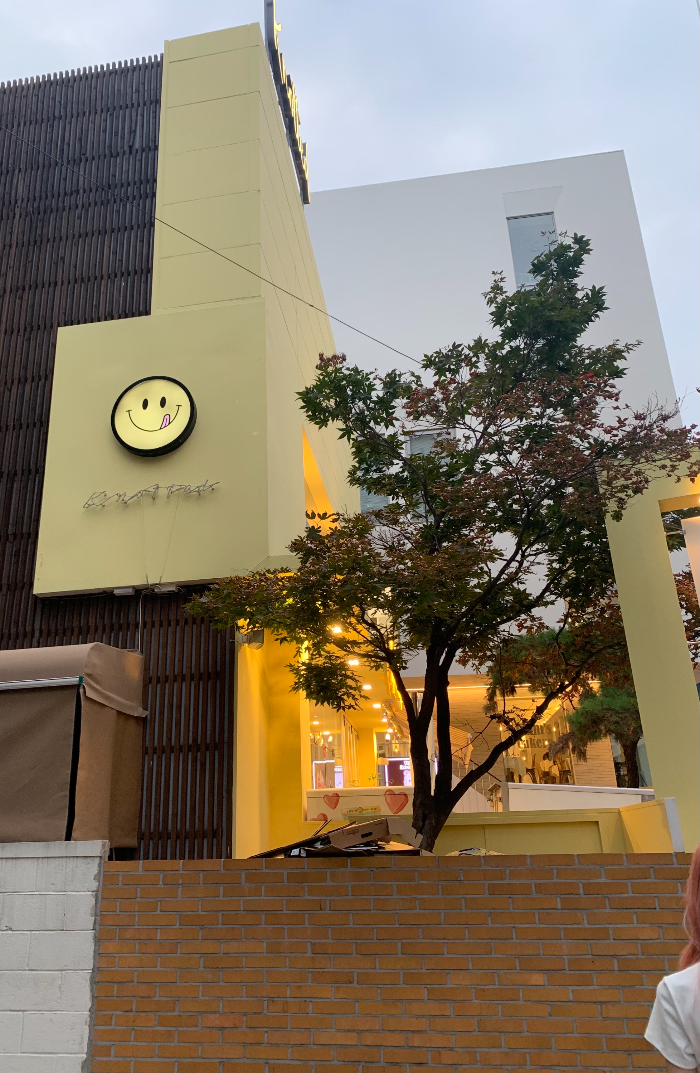 노티드 청담