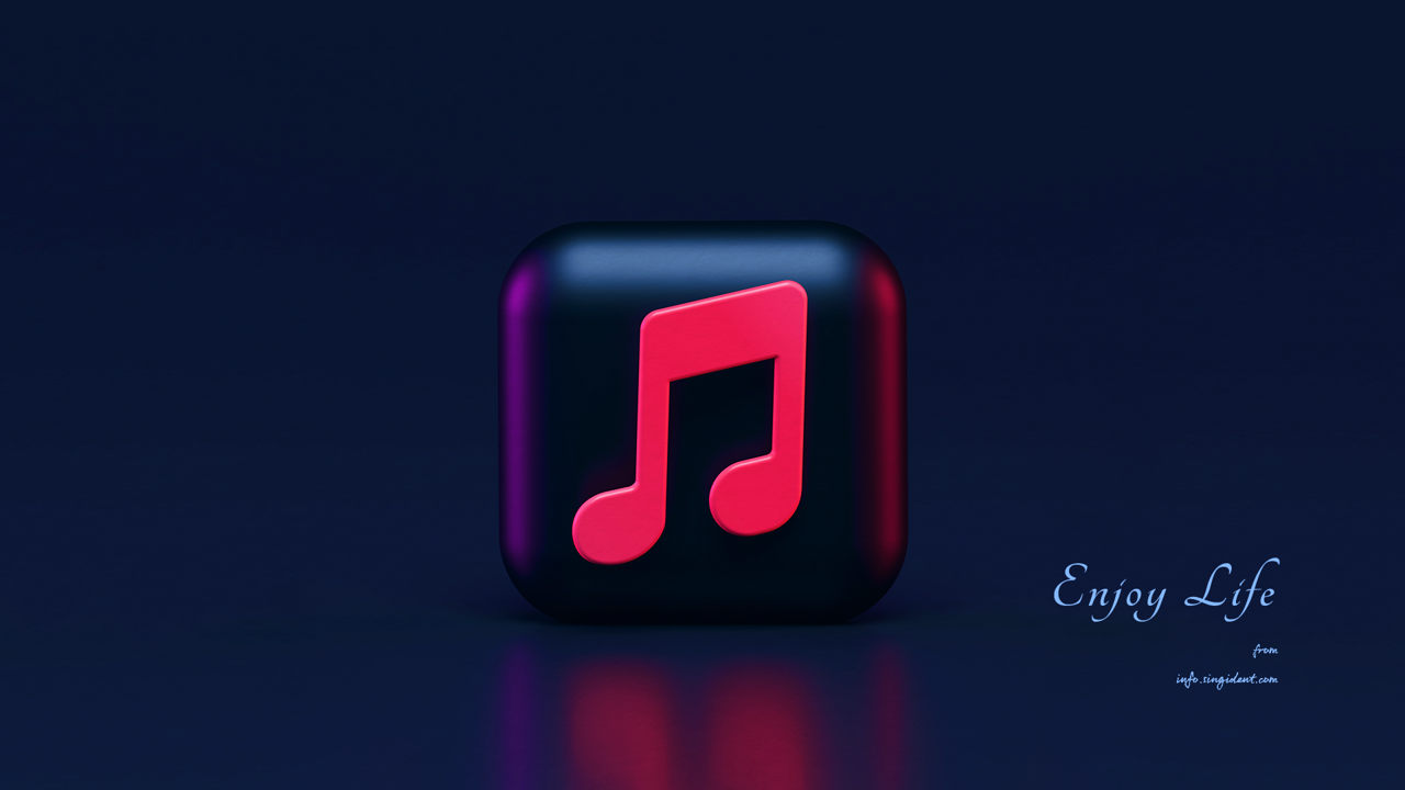 12 뮤직 아이콘 C - Enjoy Life 어두운배경화면