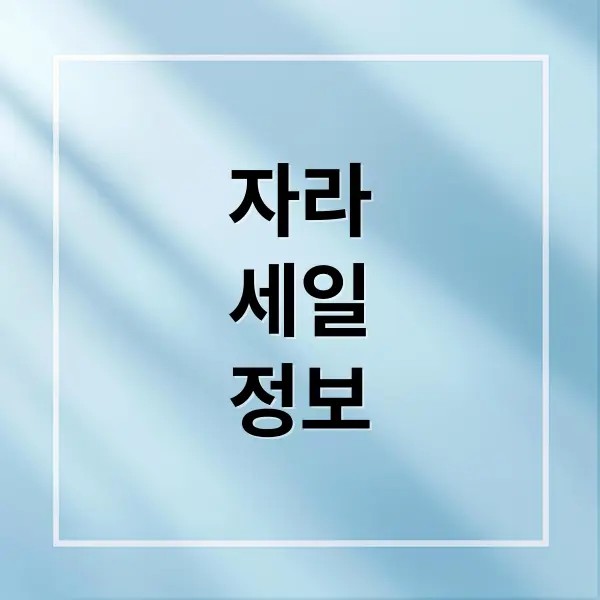 자라 2025 세일 완벽 가이드