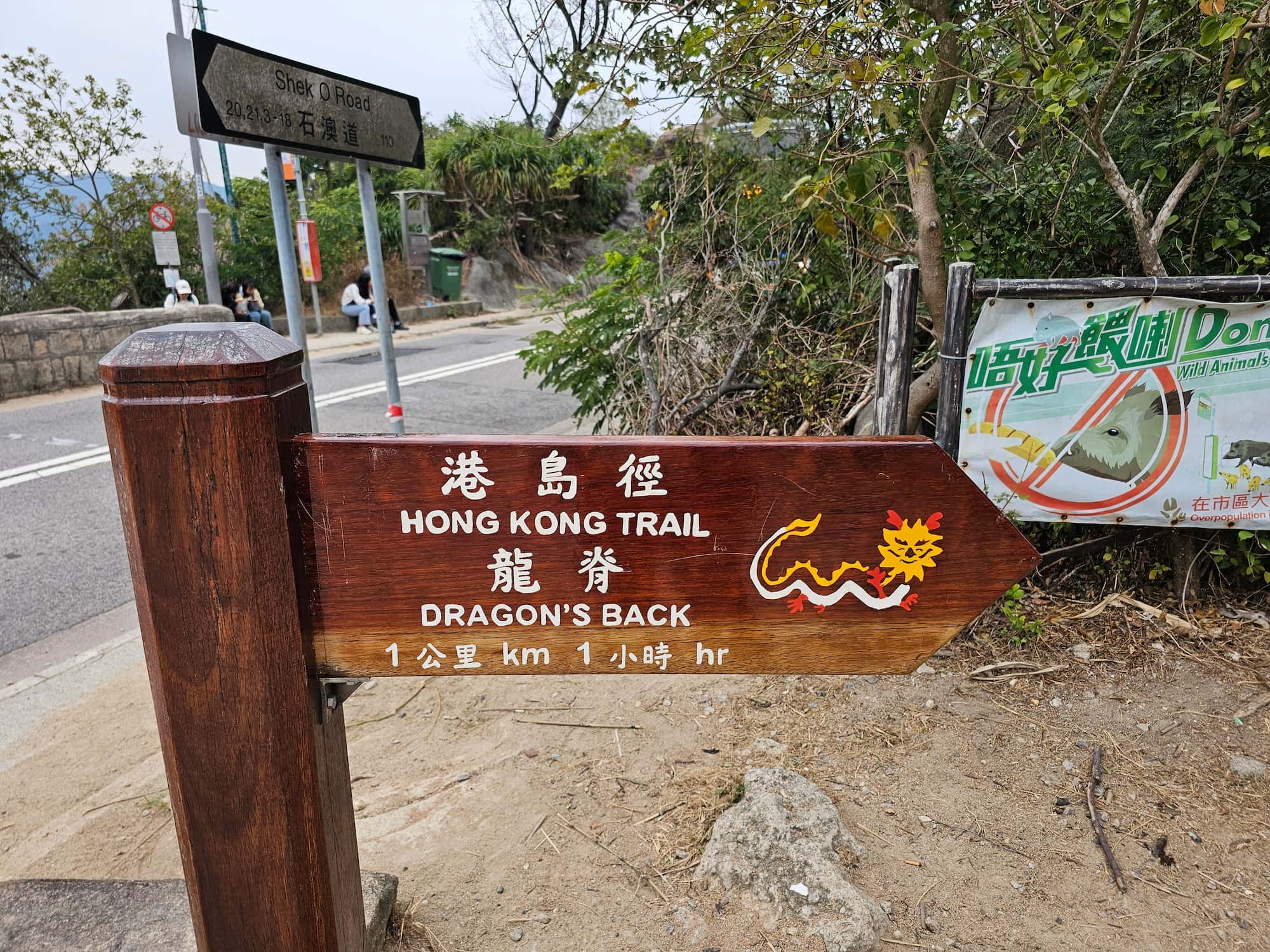 드래곤즈 백 후기