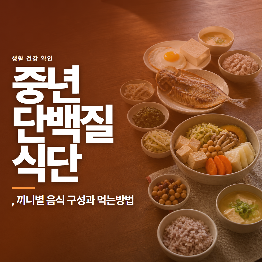중년 단백질 식단 · , 끼니별 음식 구성과 먹는방법