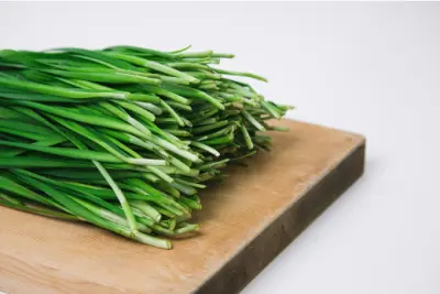 부추 효능과 영양성분, 부작용