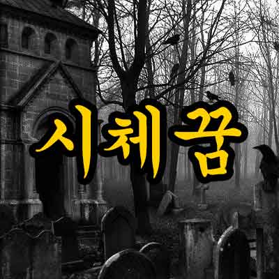 시체꿈