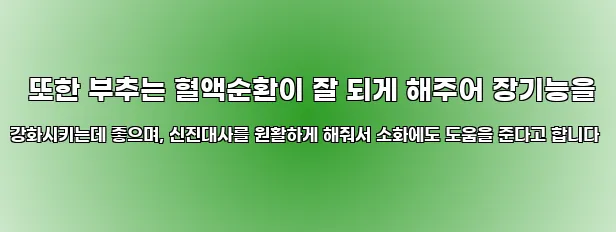  또한 부추는 혈액순환이 잘 되게 해주어 장기능을 강화시키는데 좋으며, 신진대사를 원활하게 해줘서 소화에도 도움을 준다고 합니다