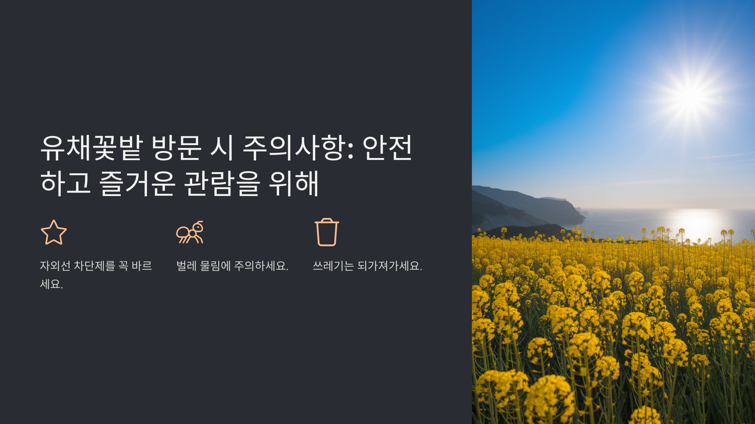 제주도 유채꽃 개화 시기와 명소