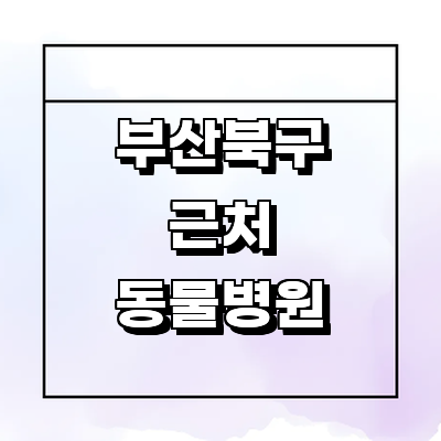 부산 북구 동물병원