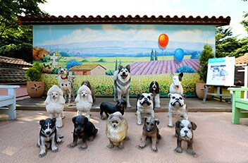 청도 프로방스 빛축제에서는 산타마을 빛축제도 함께 열립니다.