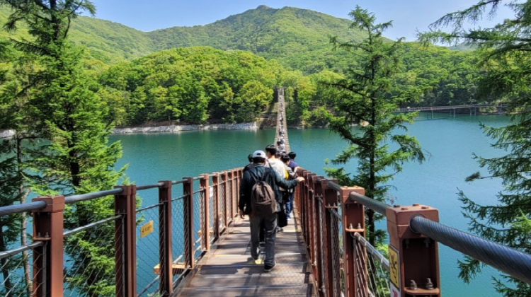 마장호수 출렁다리
