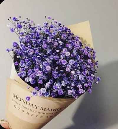 보라색 안개꽃 꽃다발