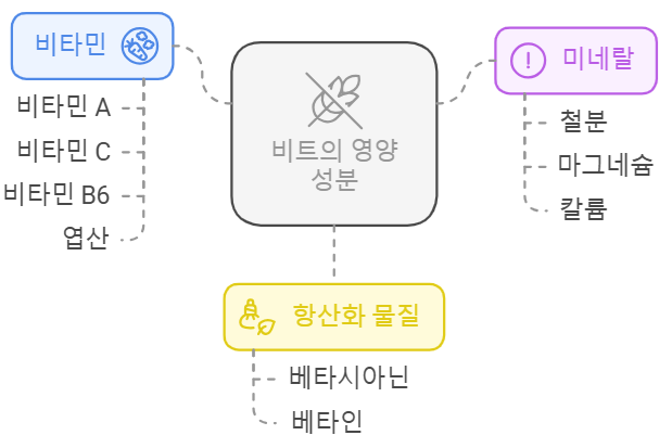 비트즙 영양