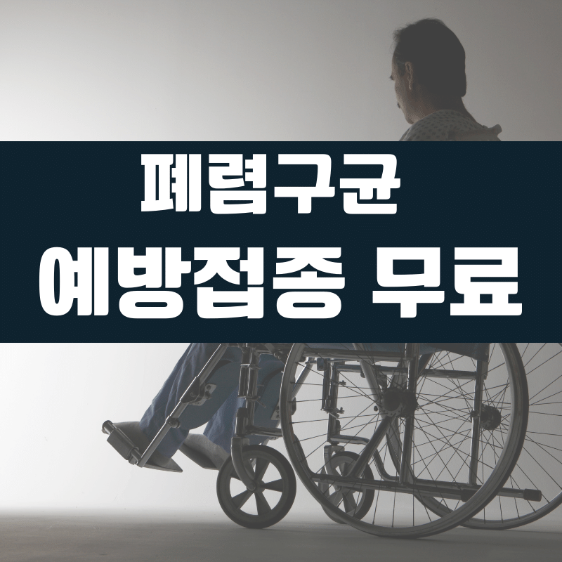 폐렴구균 예방접종 무료