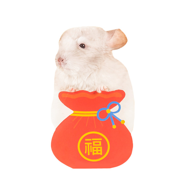 2026 띠별 신년 운세