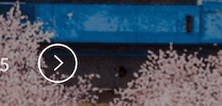Tile 15