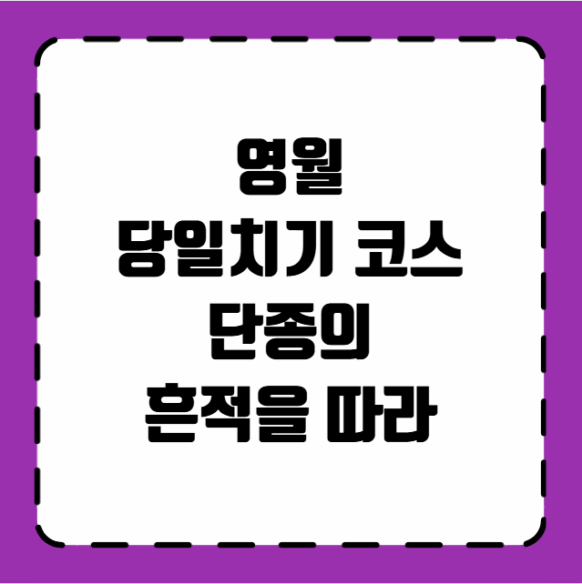 영월 당일치기 코스