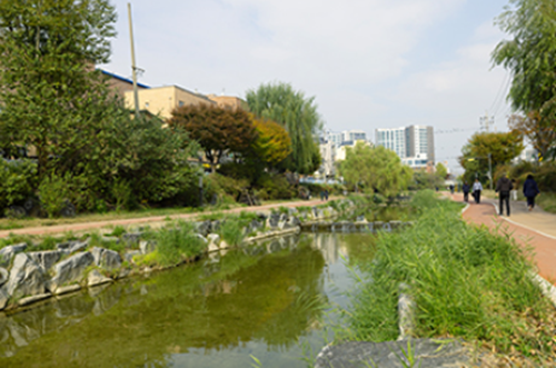 매교역-펠루시드-입지-정보