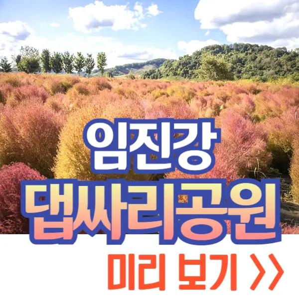 임진강 댑싸리공원