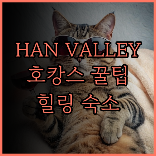 HAN VALLEY 호텔 후기 조용하