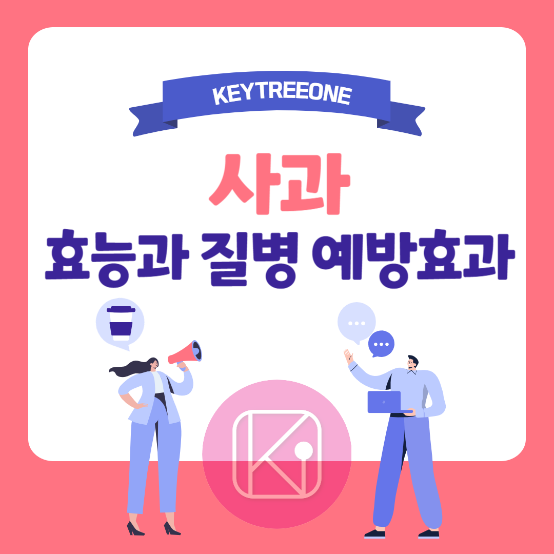 사과의 효능과 질병 예방