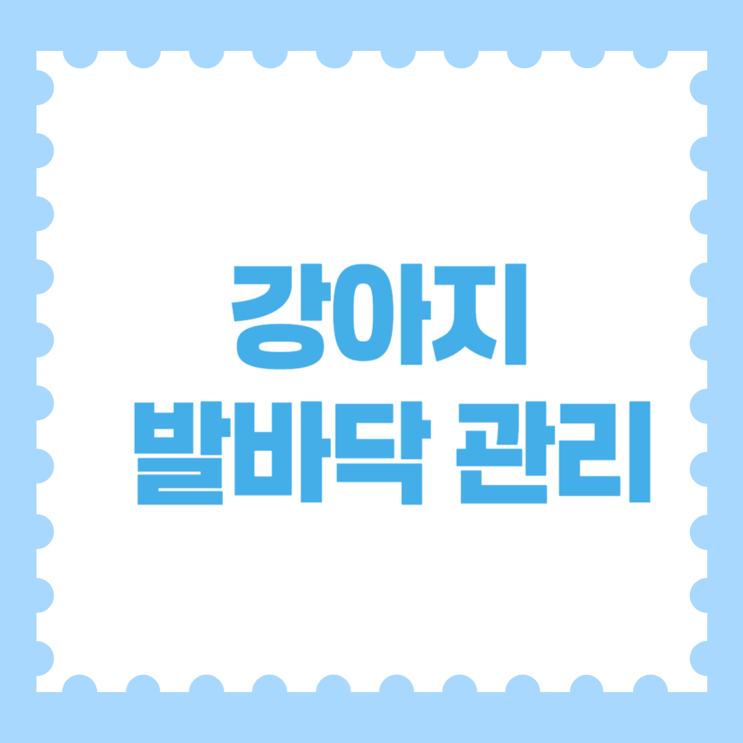 강아지 발바닥 관리