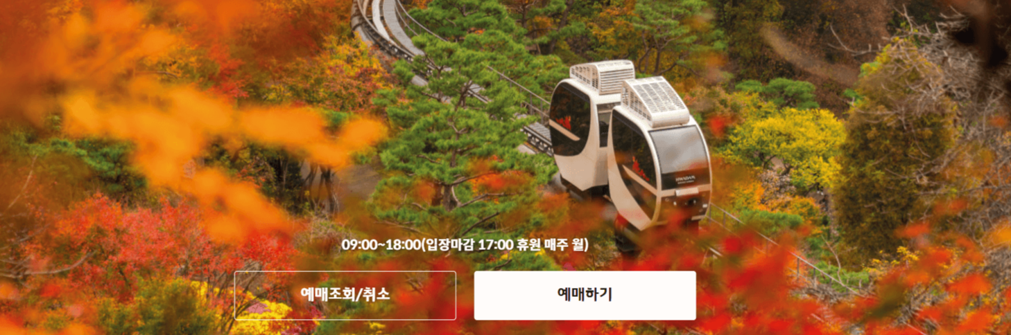 화담숲 예약 / 화담숲 모노레일 예약 / 단풍명소 곤지암 화담숲