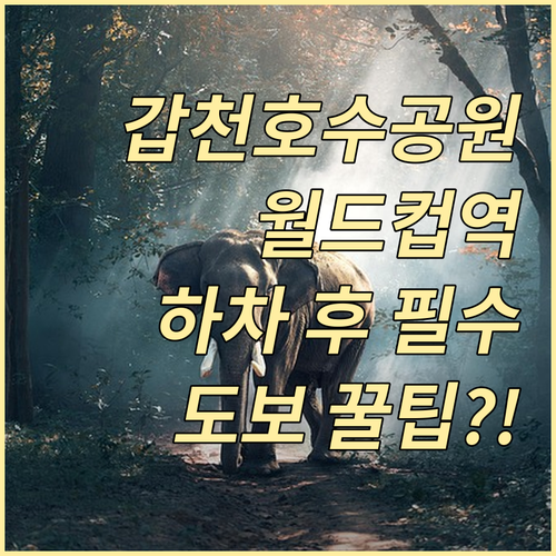 갑천생태호수공원 침례신학대 월드컵경기..