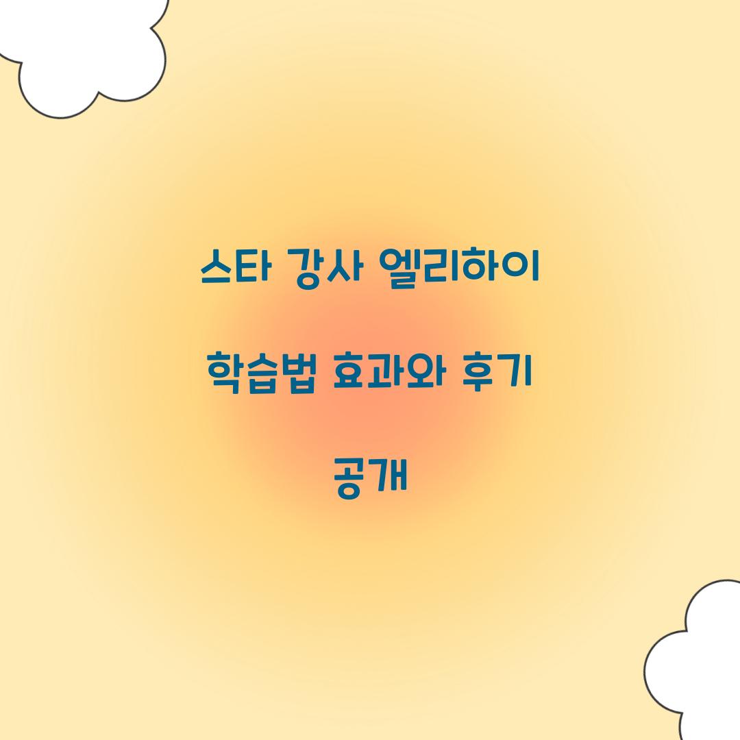 스타 강사 엘리하이 학습법