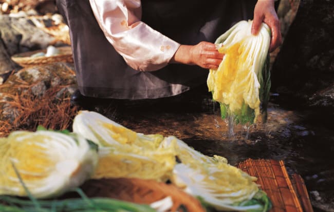 배추-절이는-모습