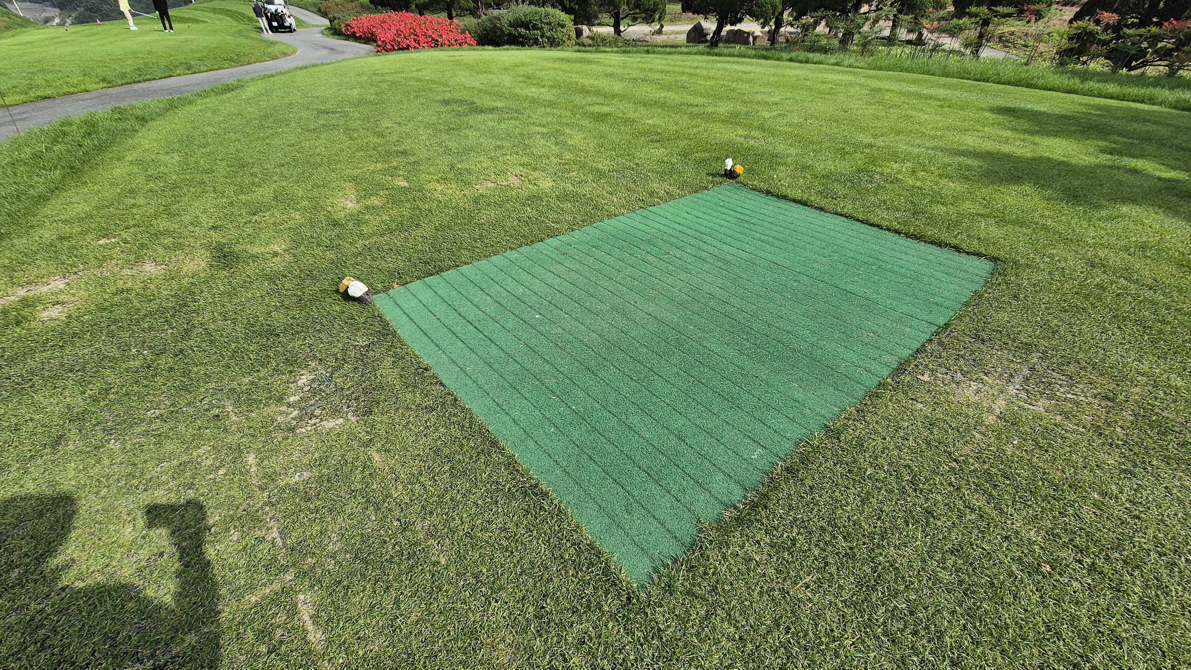 블랙스톤 벨포레cc 티잉구역 상태