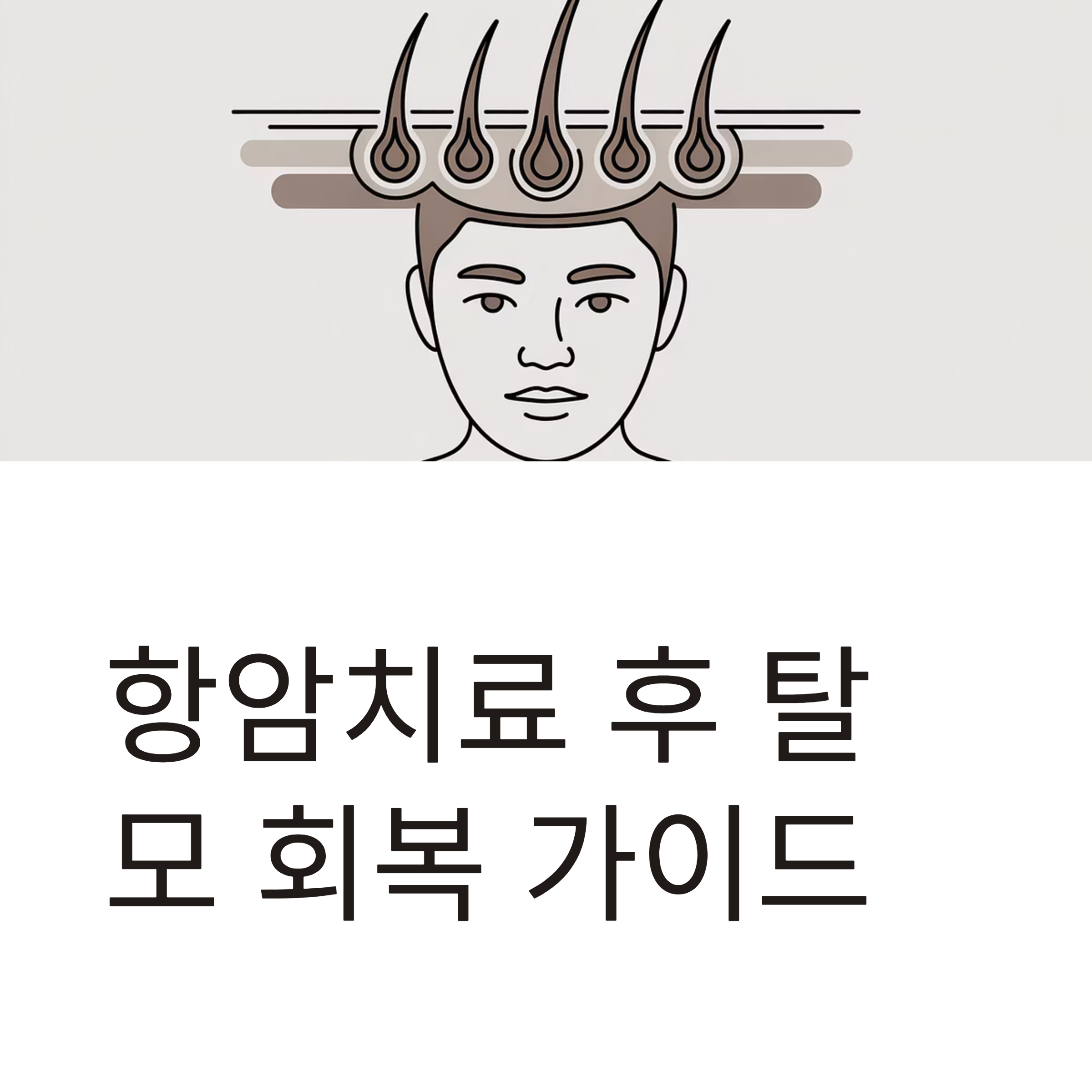 항암 탈모 관리 대표이미지