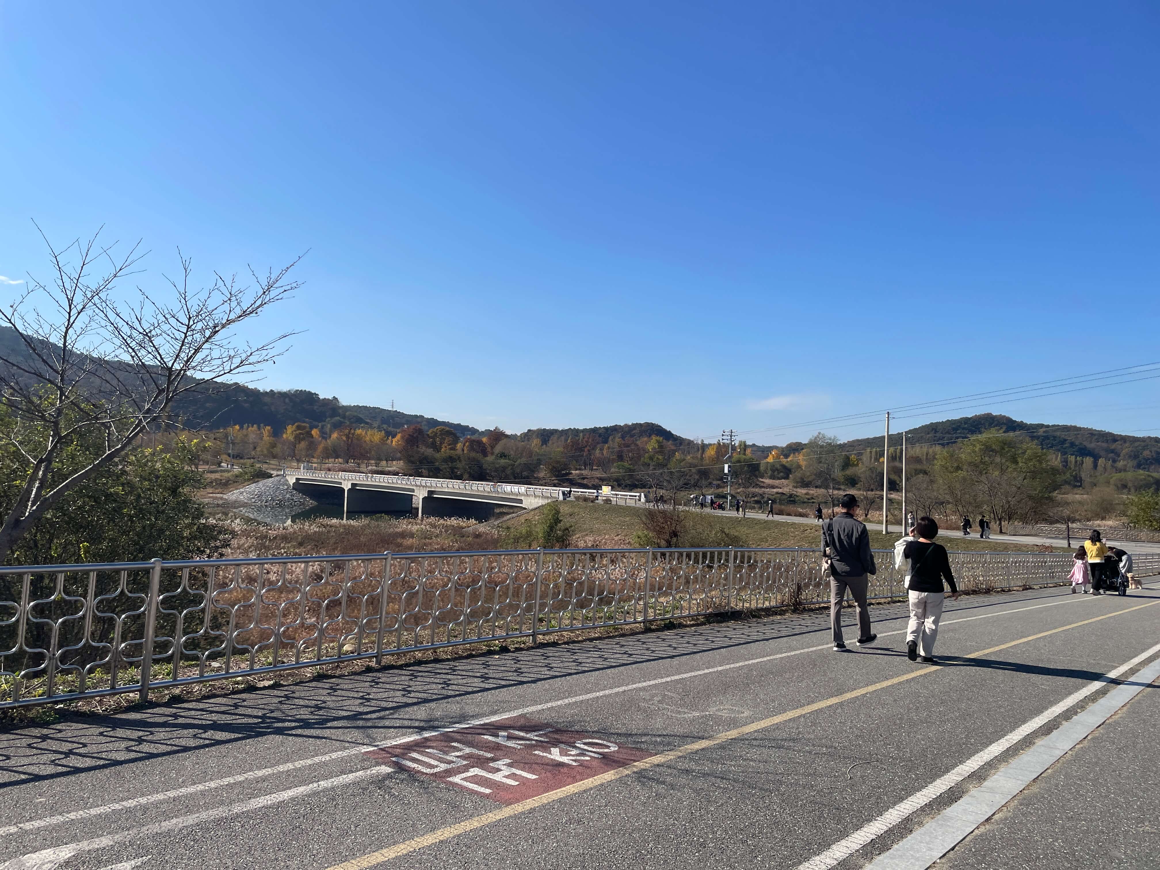 단풍놀이 강천섬