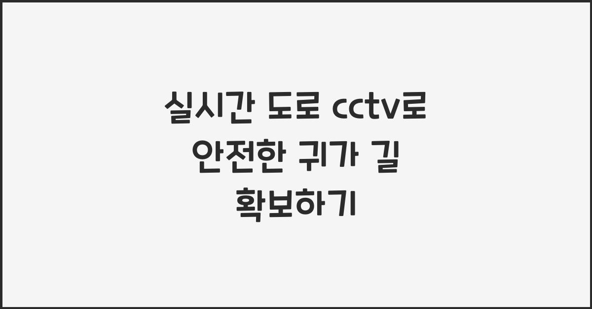 실시간 도로 cctv