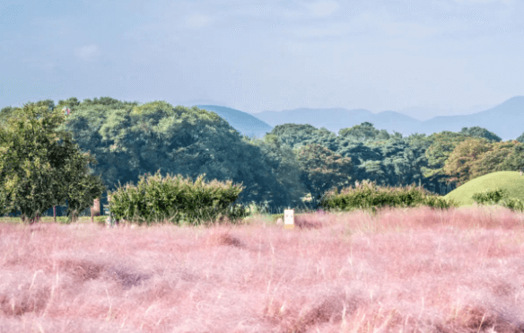 두꺼비집 내려감, 전기 나갔을 때 방법