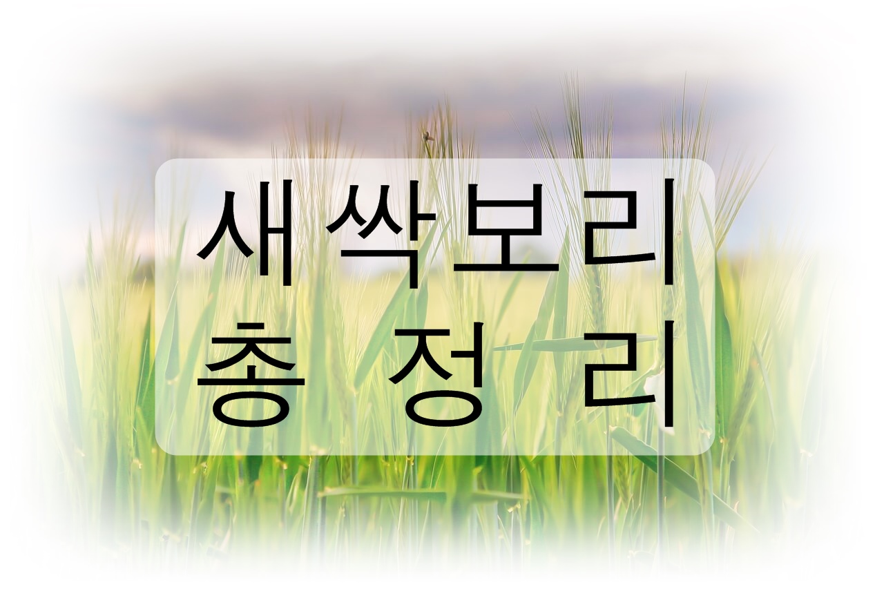 새싹보리 총정리! (효능, 부작용, 섭취 방법, 고르는 방법)