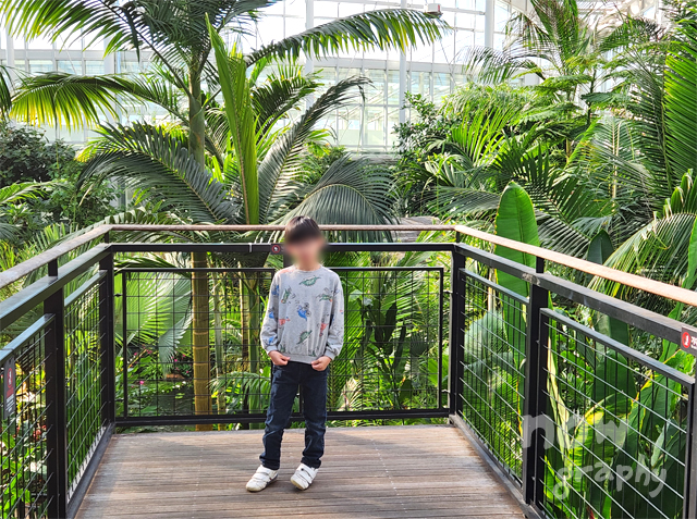 국립세종수목원