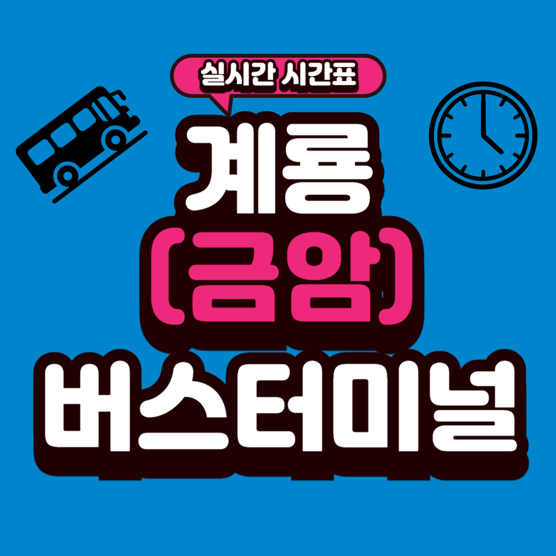 계룡 금암버스터미널 시간표