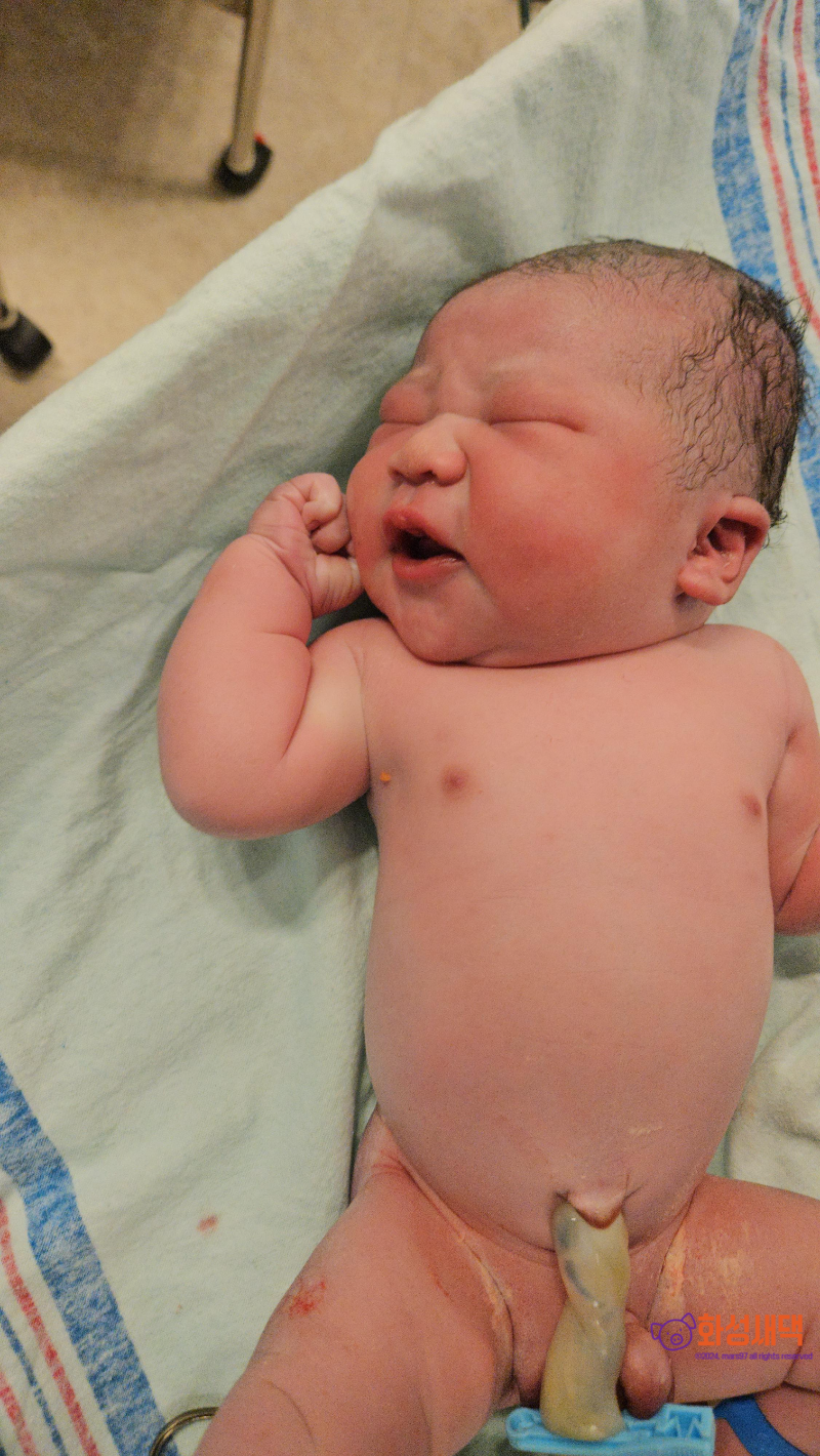 수원 세인트마리 여성병원