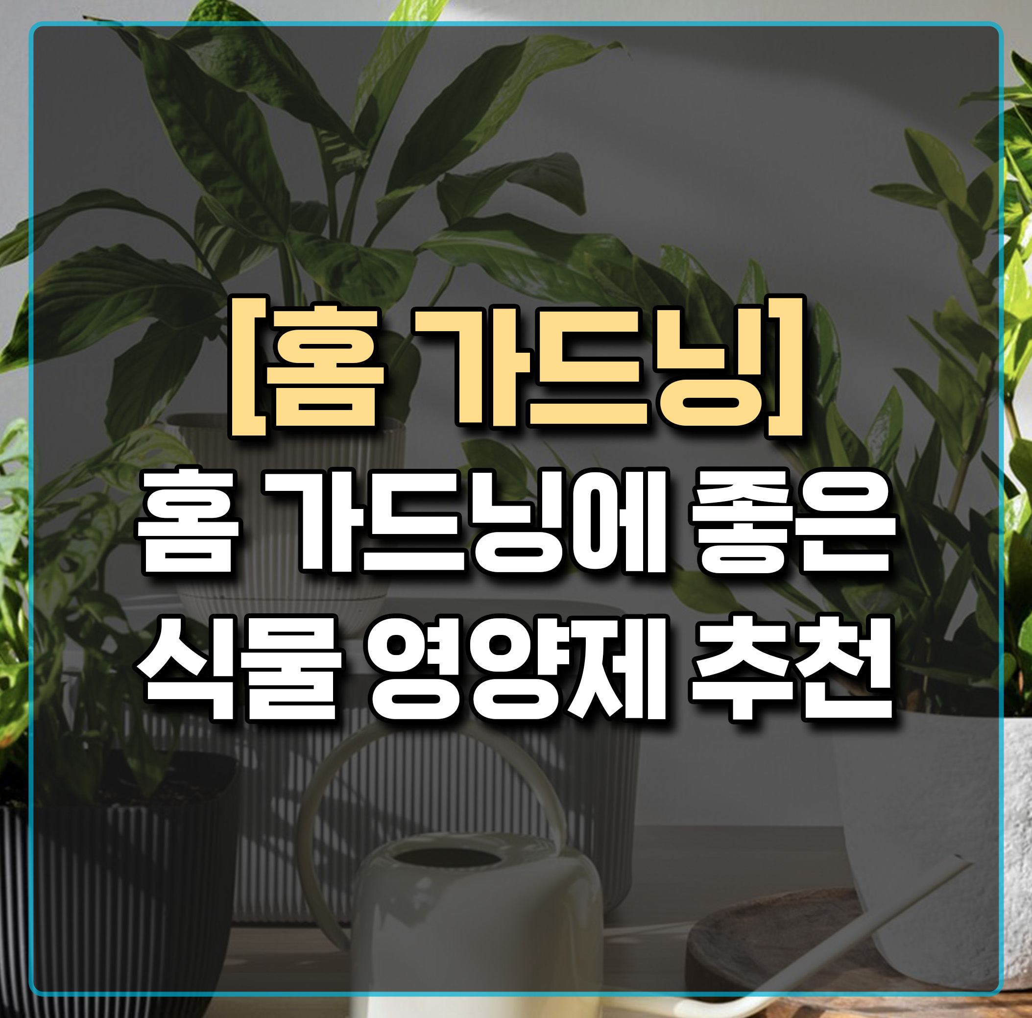 홈가드닝-미세먼지-차단-식물영양제-추천