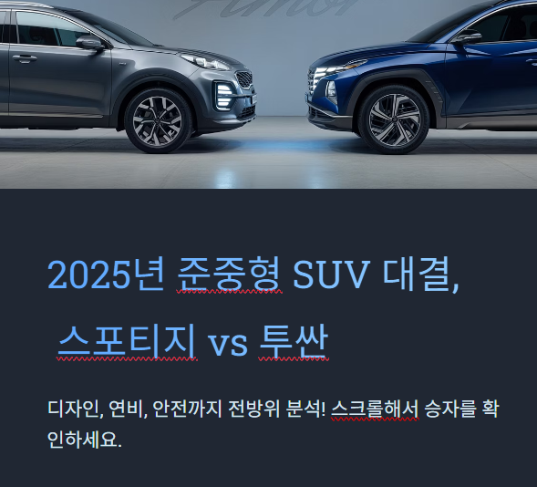 2025 최신 비교 총정리
