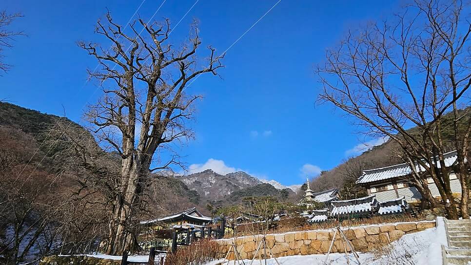 양평 용문사 : 천년의 숨결을 간직하고 은행나무 아래서 찾는 마음의 휴식과 여유가 있는곳
