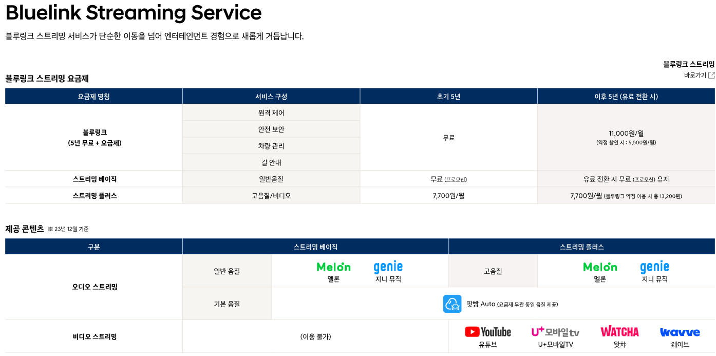 싼타페 인테리어 블루링크 서비스